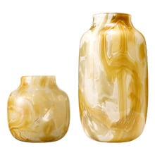 2 Piece Elowen Soda Lime Glass Vase Set